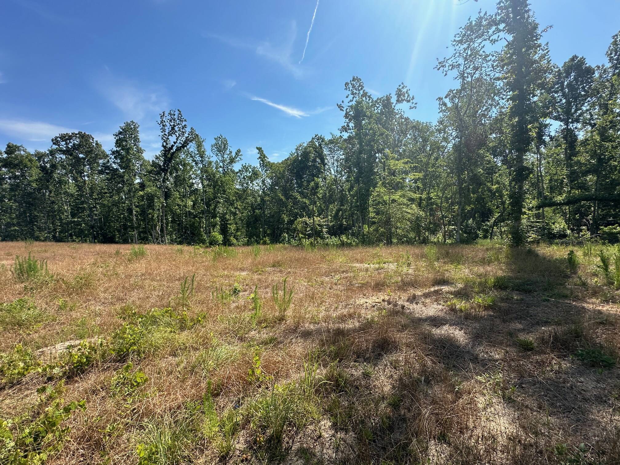 TENNESSEE COUNTRY LAND FROM THE 2 CRANES REALTY PHOTO COLLECTION